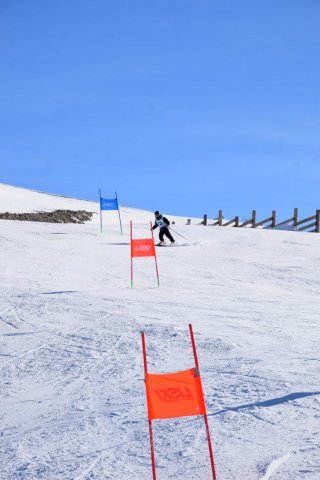 Чемпионат Узбекистана 2024